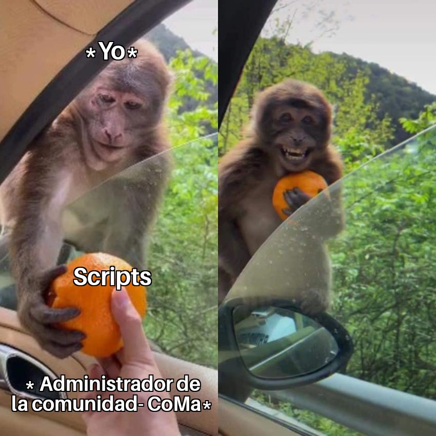 Monkey Receiving An Orange 01102020202420.jpg
